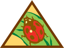 Brownie Bugs Badge